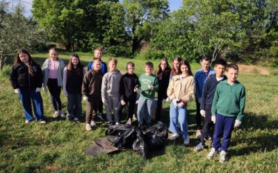 Zelena čistka povodom Dana planeta Zemlje